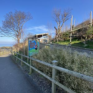 Nepalese red panda enclosure 190325