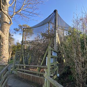 Himalayan aviary 190325