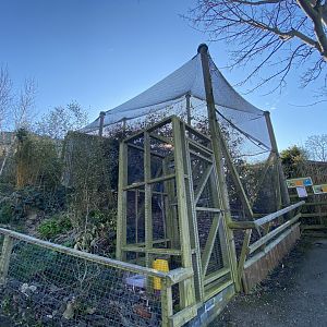 Himalayan aviary 190325