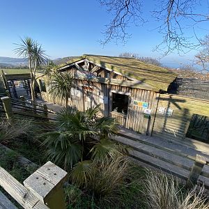Lemur Lookout 190325