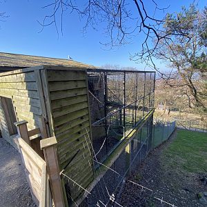 Lemur Lookout 190325
