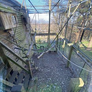 Lemur Lookout 190325