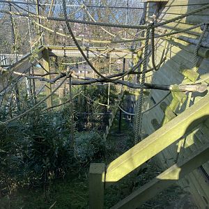 Lemur Lookout 190325