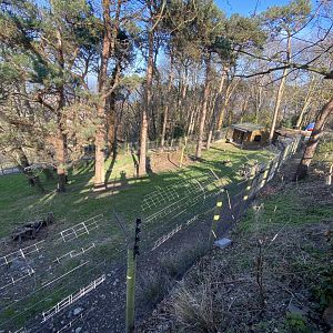 Emu enclosure 190325