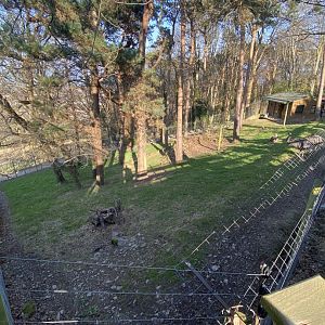Emu enclosure 190325