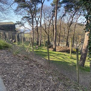 Emu enclosure 190325
