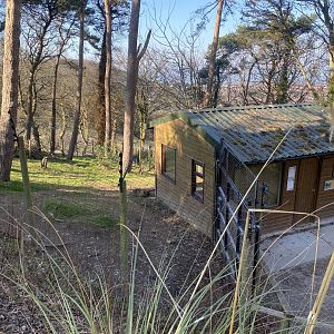 Emu enclosure 190325