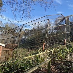 Sumatran tiger enclosure 190325