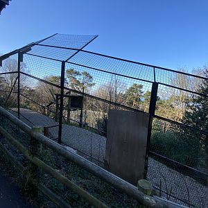 Sumatran tiger enclosure 190325