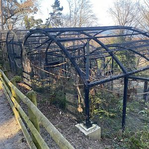 British red squirrel enclosures 190325
