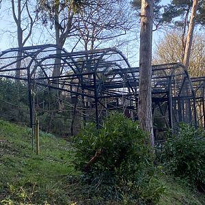 British red squirrel enclosures 190325