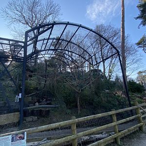 British red squirrel enclosure 190325