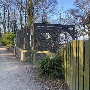 Pine marten enclosures 190325