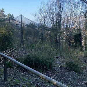 White-tailed eagle aviary 190325