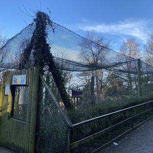 White-tailed eagle aviary 190325