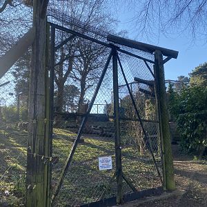 European brown bear enclosure 190325