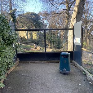 European brown bear enclosure 190325