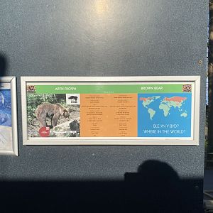 European brown bear enclosure signage 190325