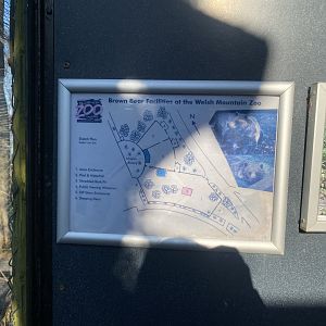 European brown bear enclosure signage 190325