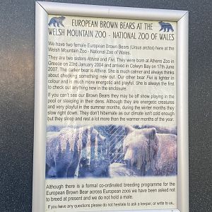 European brown bear enclosure signage 190325