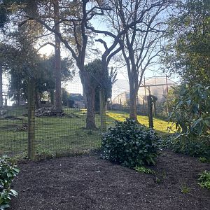 Red-necked wallaby enclosure 190325