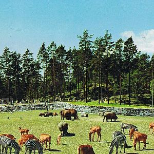 Kolmården Zoo, Historical Postcard