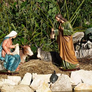 Bioparco Roma - Nativity scene