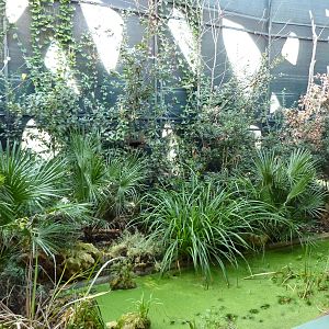 Bioparco Roma - Native wildlife area in Biodiversitalia