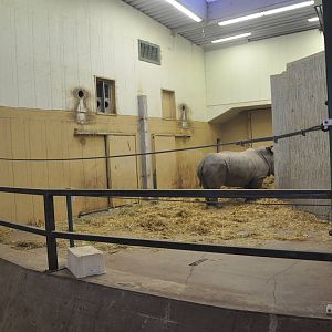 Kolmården Zoo Rhino Indoor Enclosure