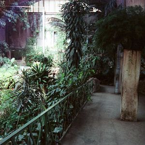 Chester Zoo Tropical Realm - 1985