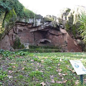 Bioparco Roma - Tiger enclosure