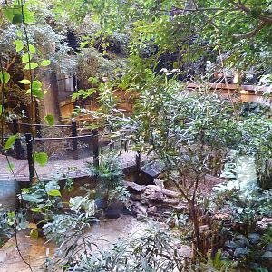 Bioparco Roma - Central hall in reptile house