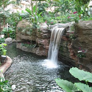 Gaylord Palms - St. Augustine Atrium Interior