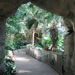 Gaylord Palms - St. Augustine Atrium - Gator Springs