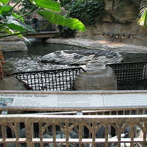 Gaylord Palms - St. Augustine Atrium - Gator Springs