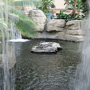 Gaylord Palms - St. Augustine Atrium - Gator Springs