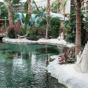 Gaylord Palms - Key West Atrium