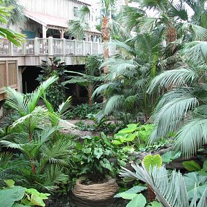 Gaylord Palms - Everglades Atrium Interior
