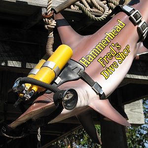 Shark Reef at Disney Typhoon Lagoon - Detail