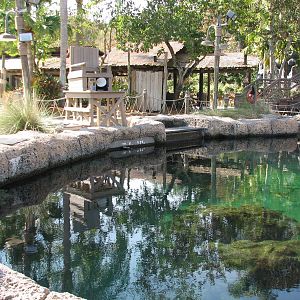 Shark Reef at Disney Typhoon Lagoon