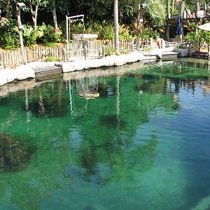 Shark Reef at Disney Typhoon Lagoon