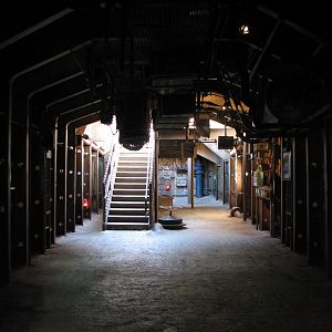 Shark Reef at Disney Typhoon Lagoon - Shipwreck Interior