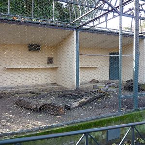 Bioparco Roma - Armadillo enclosure
