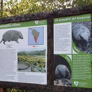 Bioparco Roma - Armadillo signage