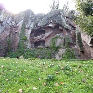 Bioparco Roma - Tiger