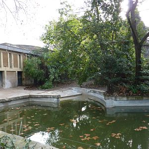 Bioparco Roma - Hippo enclosure