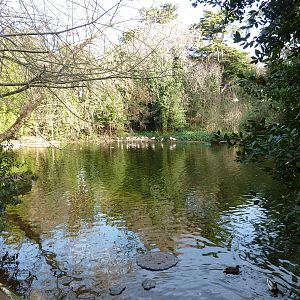 Bioparco Roma - Large ponds