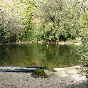 Bioparco Roma - Large ponds