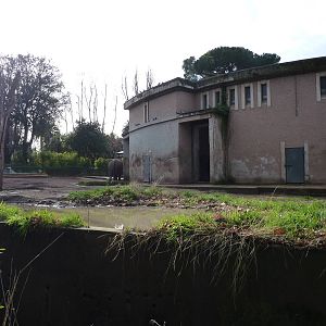 Bioparco Roma - Elephant enclosure