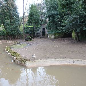 Bioparco Roma - Pygmy hippo enclosure